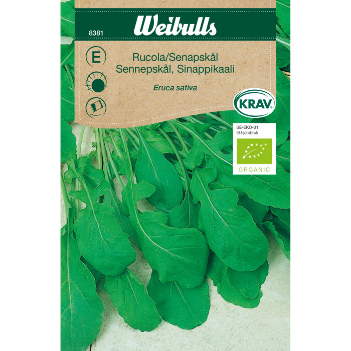 Rucola økologisk
